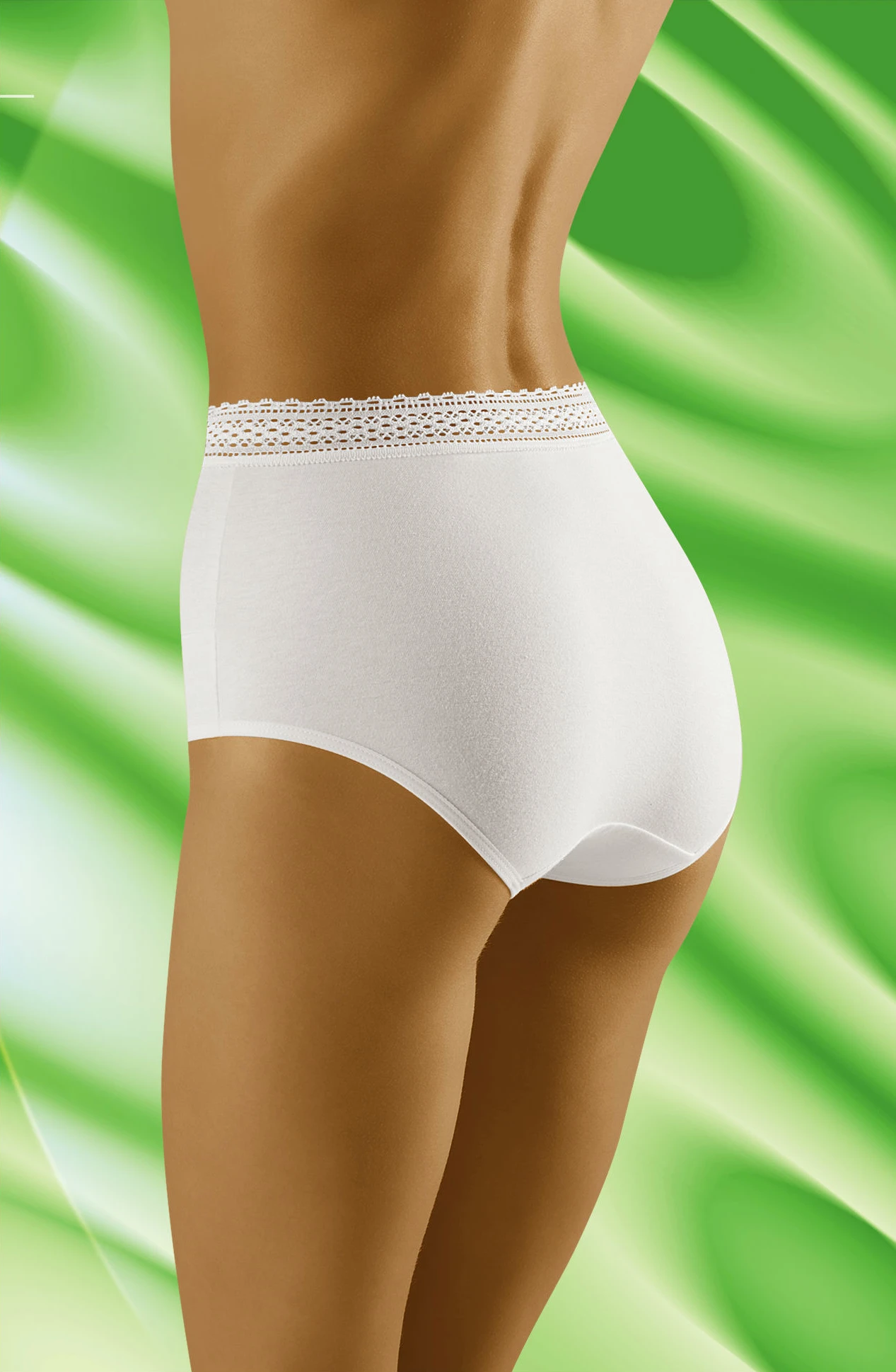 image 3 of Wolbar EC-002 High Waist Lace Trim Brief White